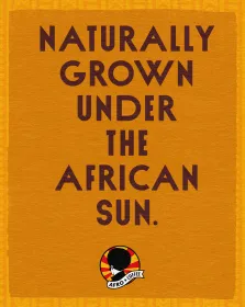 Mild & Aromatic Kaffeekapseln, Bio, Fairtrade 10 Stück